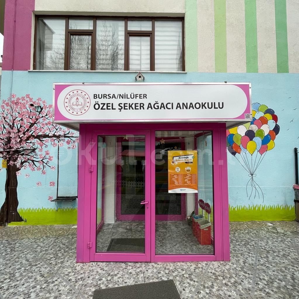 nilüfer şeker ağacı anaokulu